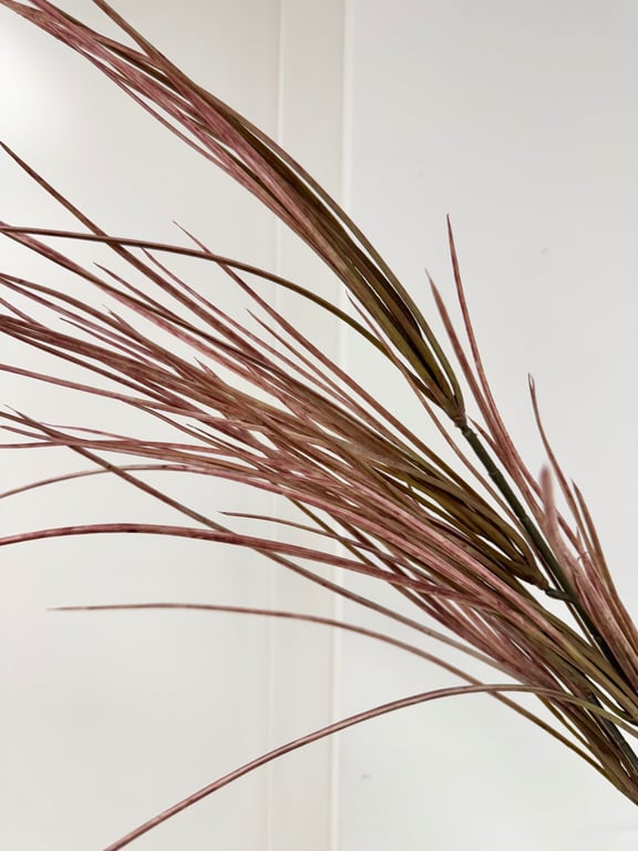 Rød græs  billede 2