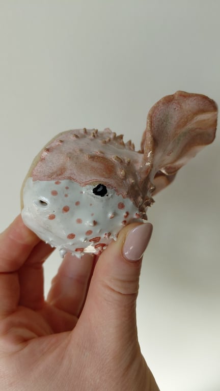 kuglefisk/Pufferfish stor billede 4