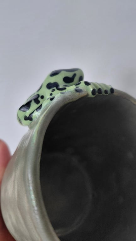 giftfrø kop billede 3