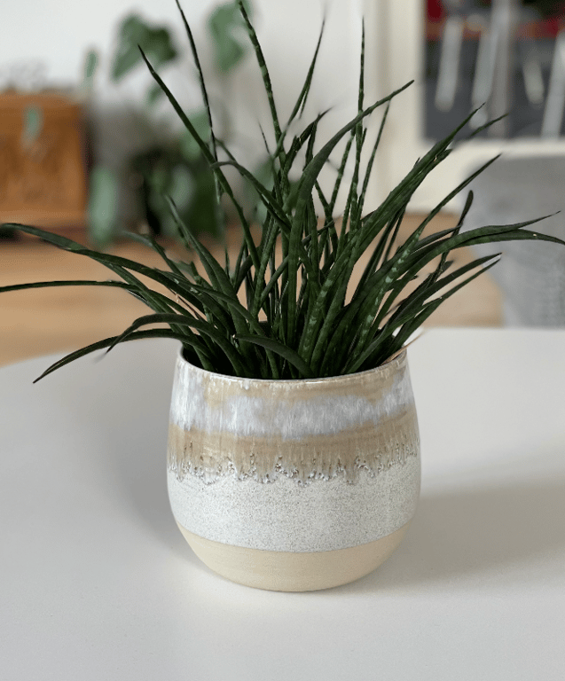 Urtepotte, skifergrå / cremehvid - 13,5 cm x ø15 cm