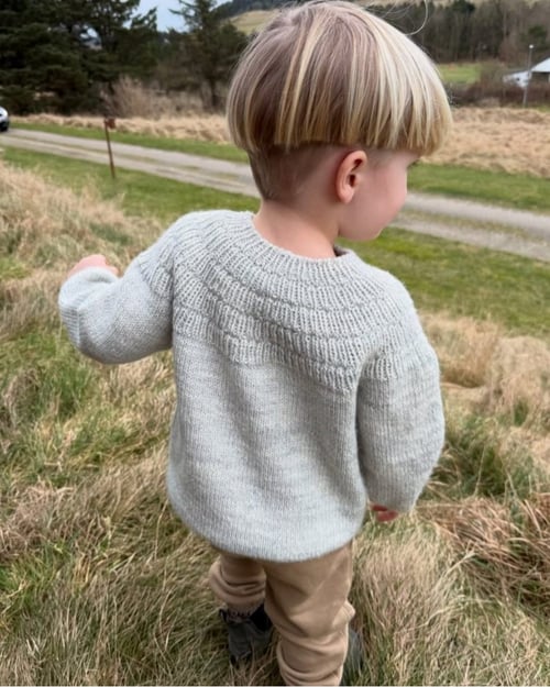 Barn med kort, lyst hår iført strikket, lysegrå trøje og beige bukser, set bagfra udendørs på græs. (1)