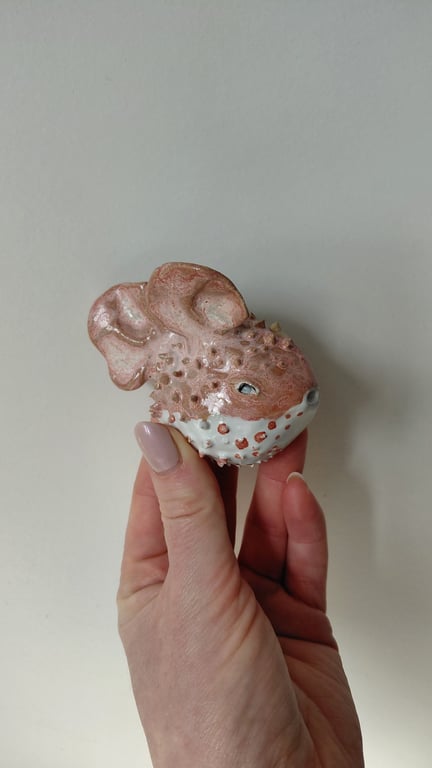 kuglefisk/pufferfish 