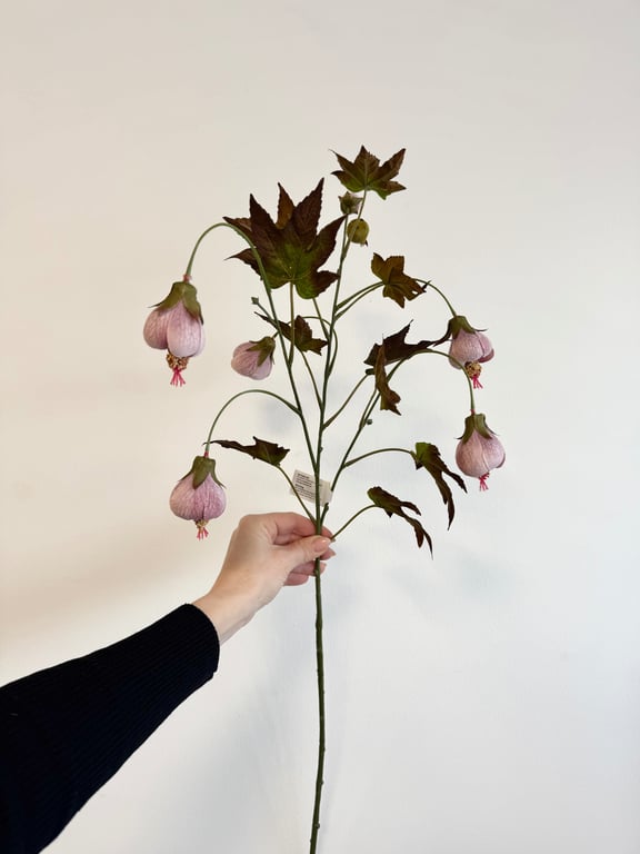 Klokkeblomst billede 4