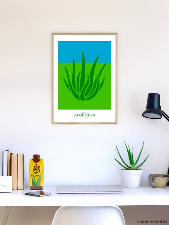 Aloë Vera - A3 plakat