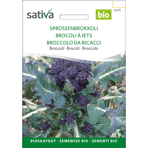 Frøpakke til økologisk sprødsbroccoli med billede af lilla broccoli og grønne blade. (1)