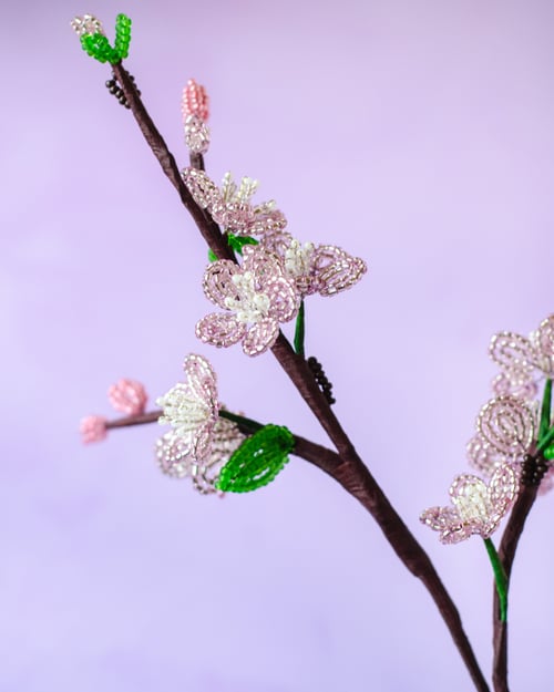 Kirsebærblomst gren (4)