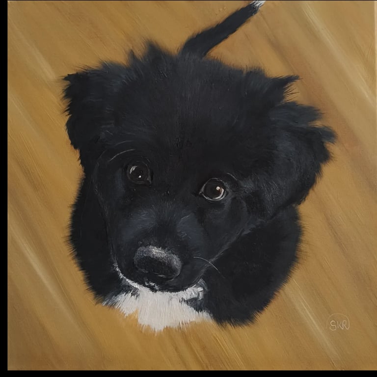 Victor 30*30