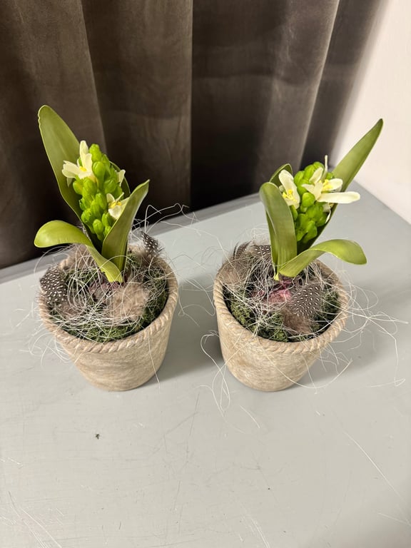 Deko med hyacint billede 2