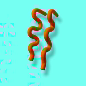 SNAKE – produktbillede