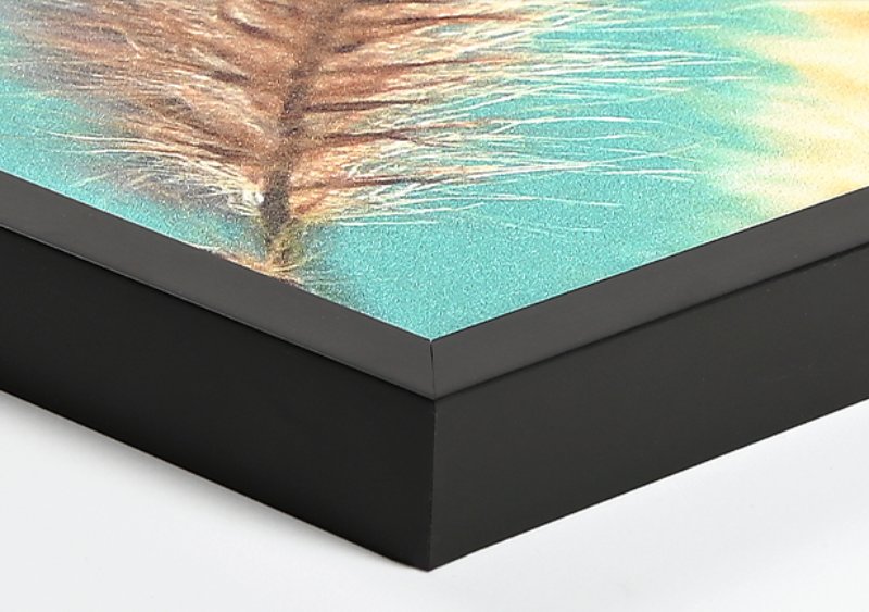 Stynede træer på Roneklint i Præstø en kold smuk vinterdag  billede 3