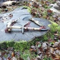 Dåb og navnegivnings ceremoni billede 2