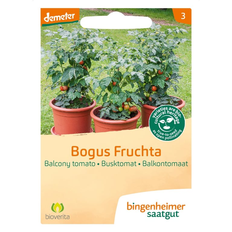 Frøpakke med bogus fruchta busktomat, viser tre små tomatplanter i røde potter med grønne og røde tomater.