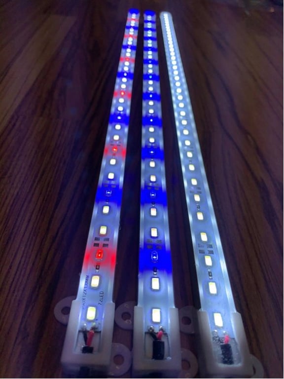 Aqualight LED Rød hvid blå