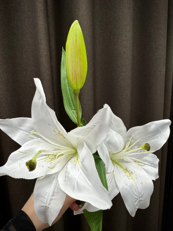Hvid lilje  billede 4