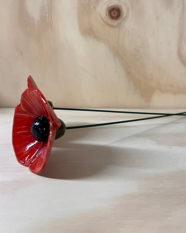 Rød Valmue på stilk  billede 3