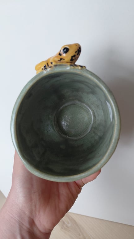 giftfrø kop billede 9