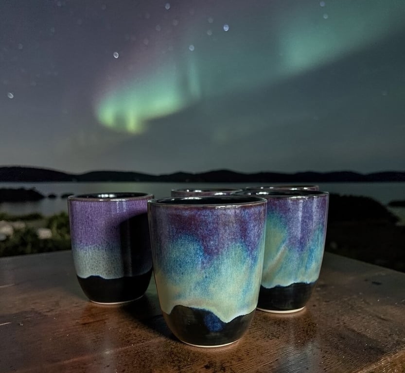 Nordlys billede 3