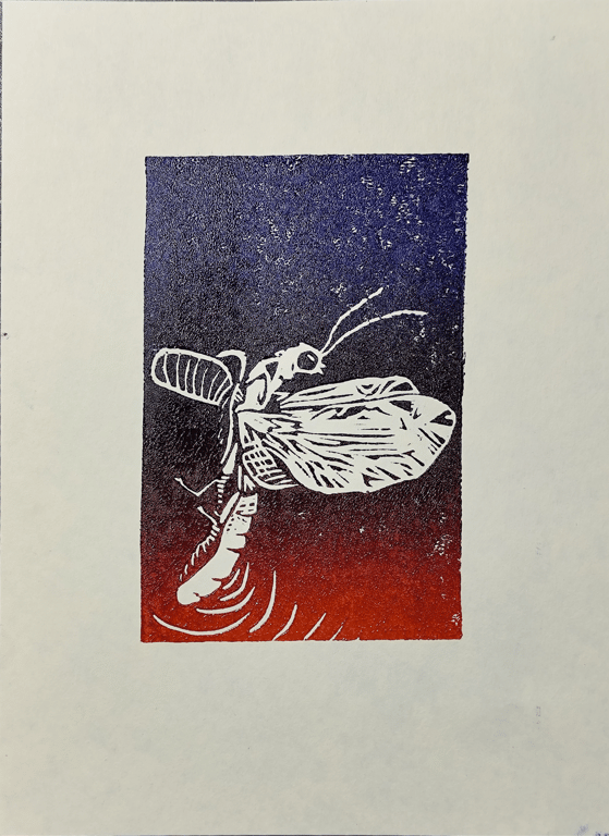 Mahical Mabon: fireflies at dusk