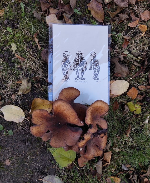 Magical Mabon: what lies within
