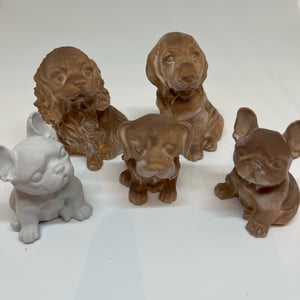Hunde forskellige racer  – produktbillede