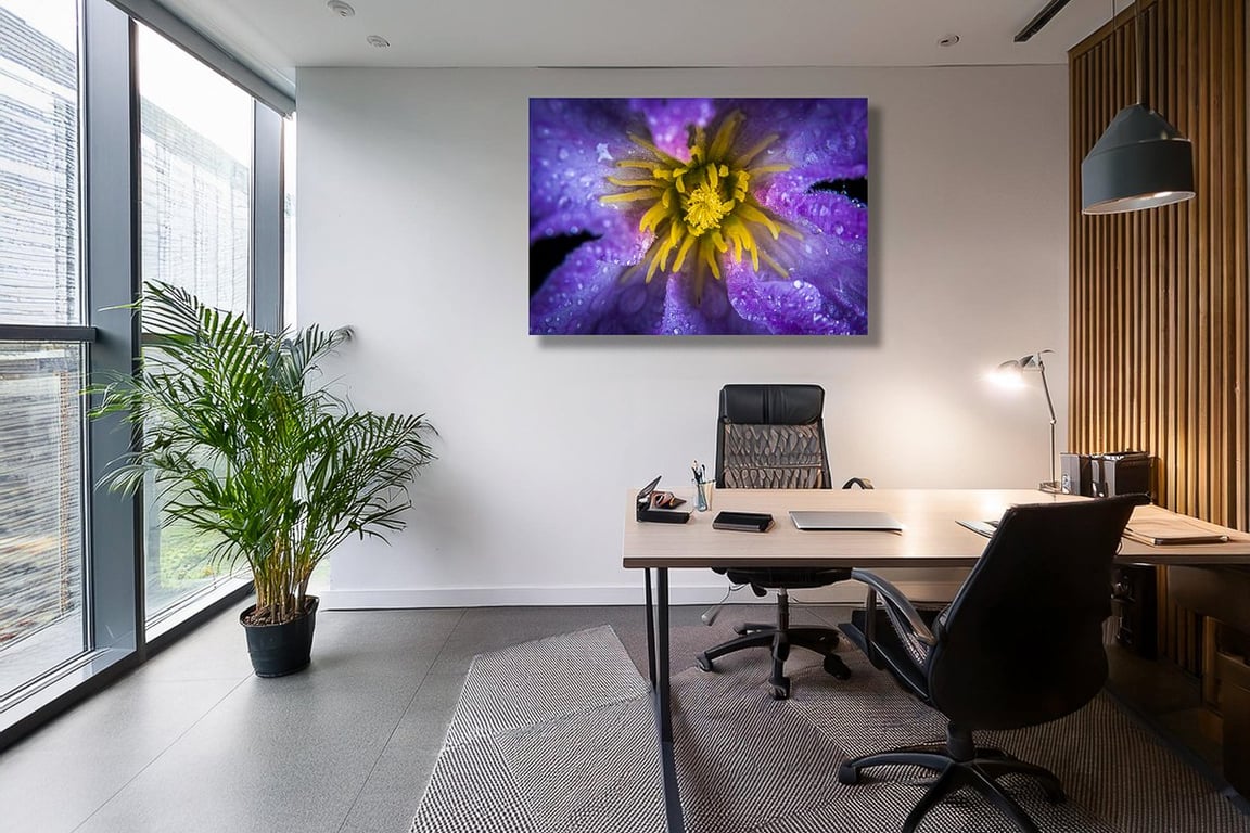 Makrofotografi af en Blue Angel klematis.  billede 3