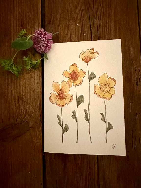 Valmuer orange, A7 - Kort 103 