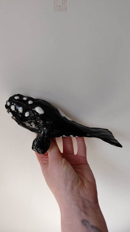 rethval, southern right whale