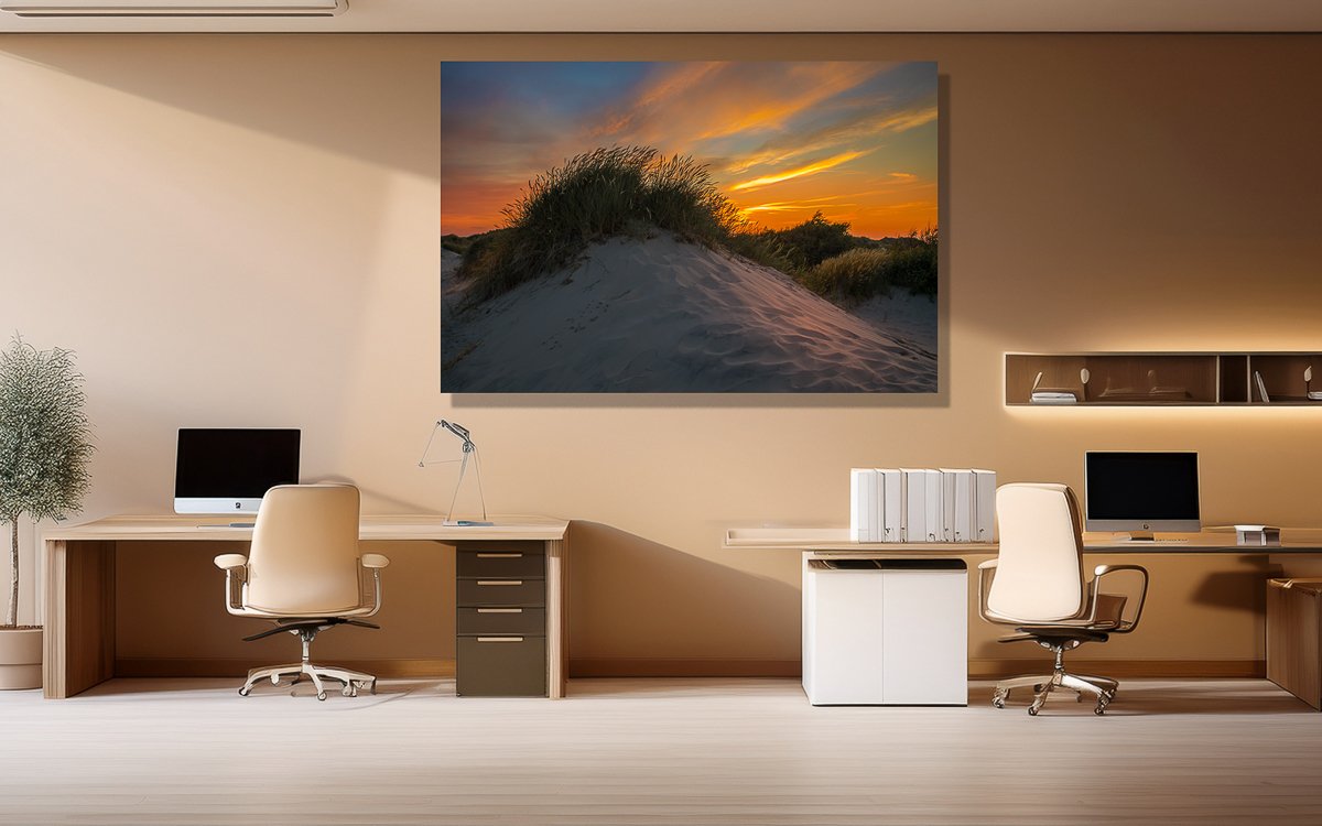 Lige efter solnedgang på  Råbjerg mile i Skagen en smuk sommeraften billede 3