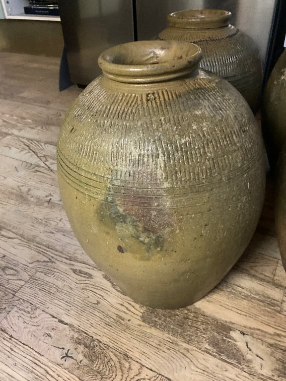 Thailandsk Vandkrukke billede 3