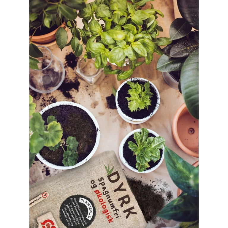 Billede af flere plantepotter med forskellige grønne planter, økologisk dyrkningsmiddel spredt omkring, og en pose med økologisk spagnumfri dyrkningsjord.