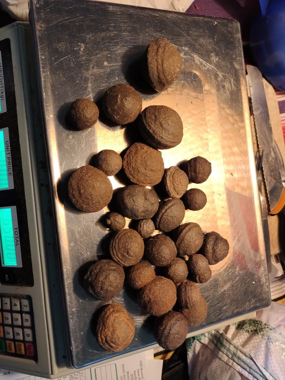 Moqui Balls    (shaman kugler)