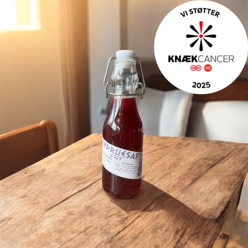 Vindruesaft - Knæk cancer 2025 (2)