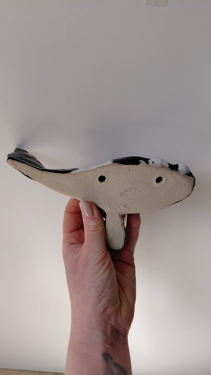 rethval, southern right whale billede 8