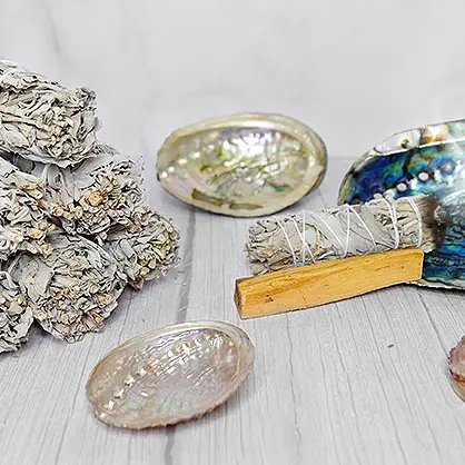 Stor skruet abalone-skal (4)