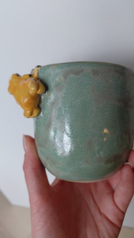 giftfrø kop billede 6