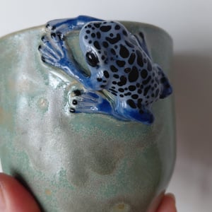 giftfrø kop – produktbillede