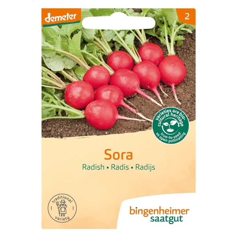 Frøpakke med radiser af sorten "Sora", vist med friske røde radiser og grønne blade, mærket med "demeter" og "bingenheimer saatgut".