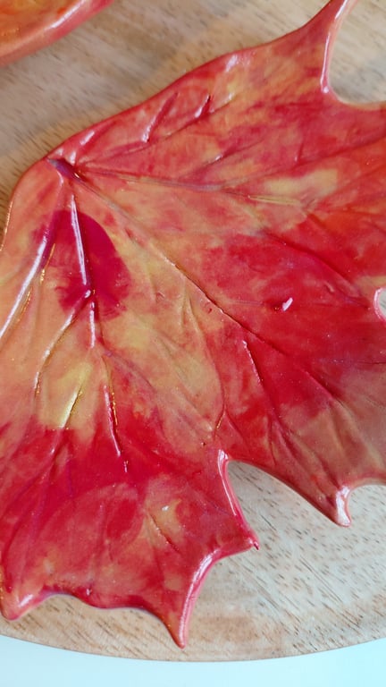 efterårsblade, sæt, rødlige billede 3