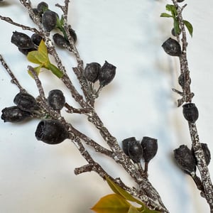 Grene med bær sort – produktbillede