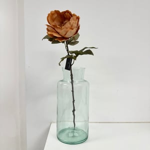 Pæon rust – produktbillede