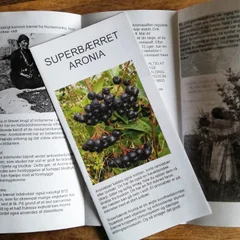 Folder om Aronia bærret billede 2