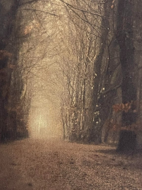 Path