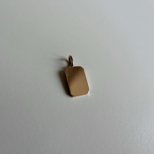 Dog Tag vedhæng guld (2)