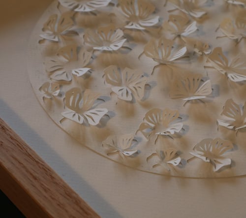 30x30cm, 3D papercut, hvid, indrammet  (8)