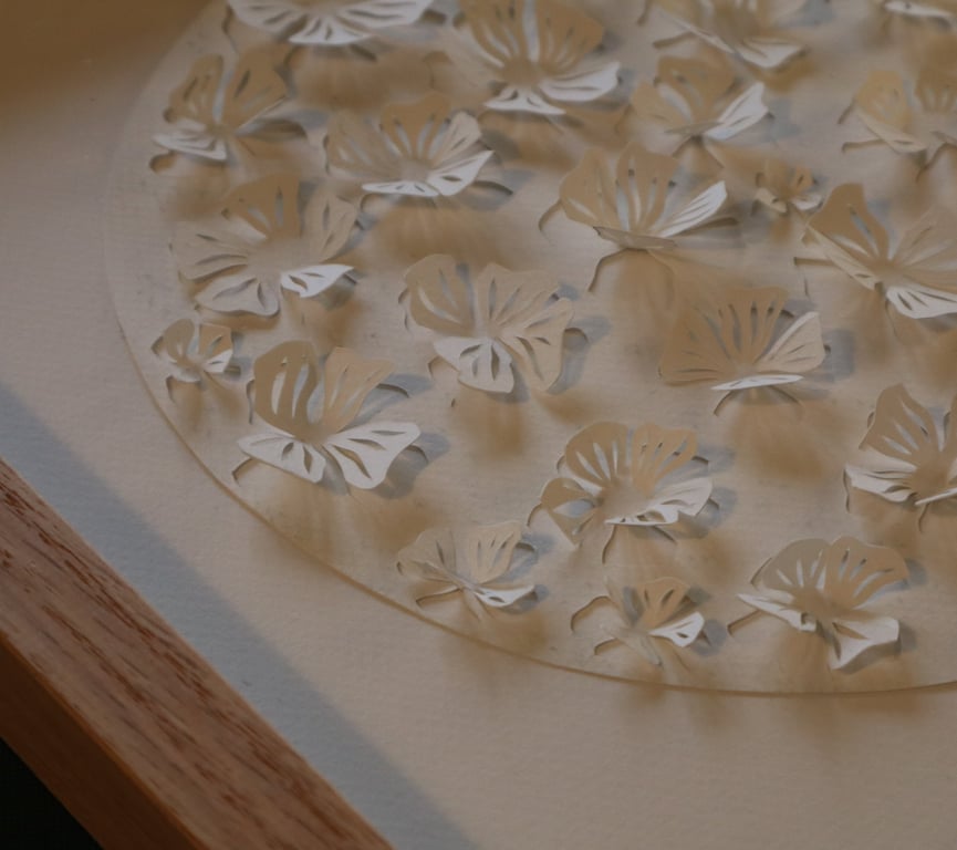 30x30cm, 3D papercut, hvid, indrammet  (8)