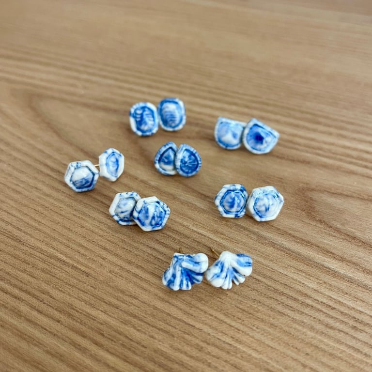 Blå og Hvide Ørestikkere billede 2