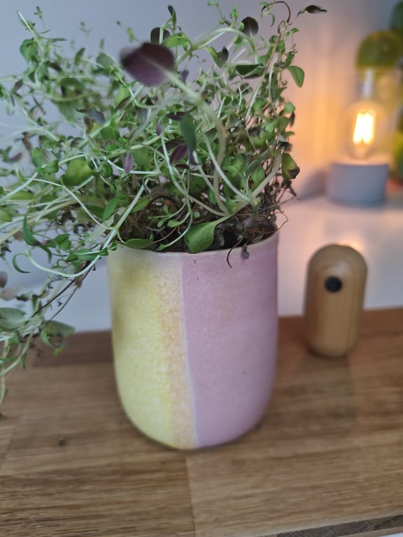 Lyserød/gul potte  billede 3