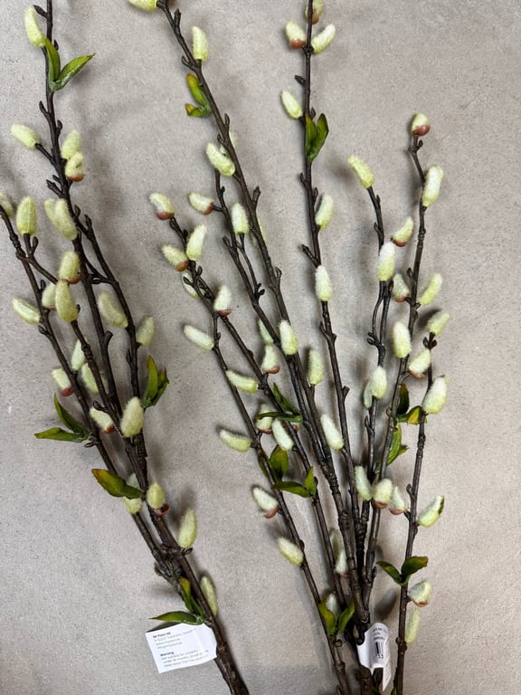 Gæslinge grene  billede 3