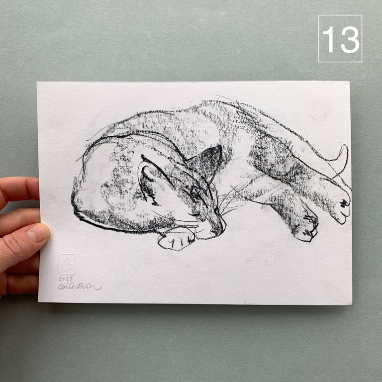 Katteskitser billede 10