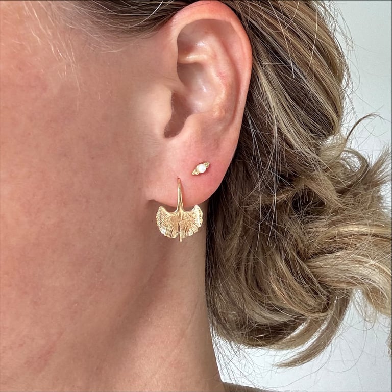 ØRERING GINKGO BILOBA